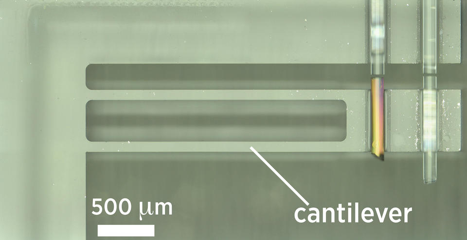 Self-calibrating AFM probe