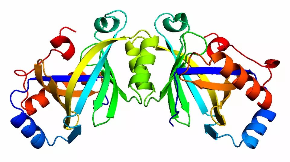 Colorful computer graphics of enzymes