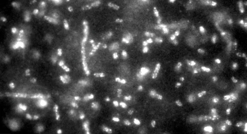Black background with gray and white dots