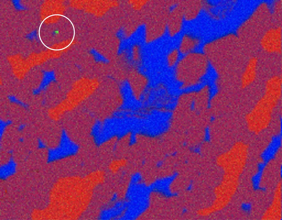 Red and blue pattern