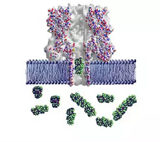 illustration of DNA
