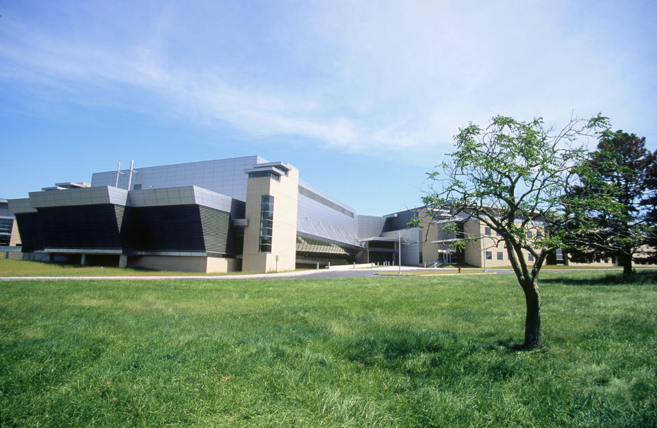 blue sky. green grass. tree in the right foreground. Building in the background.