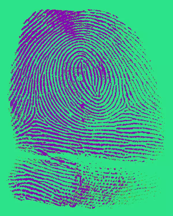 fingerprint whorl
