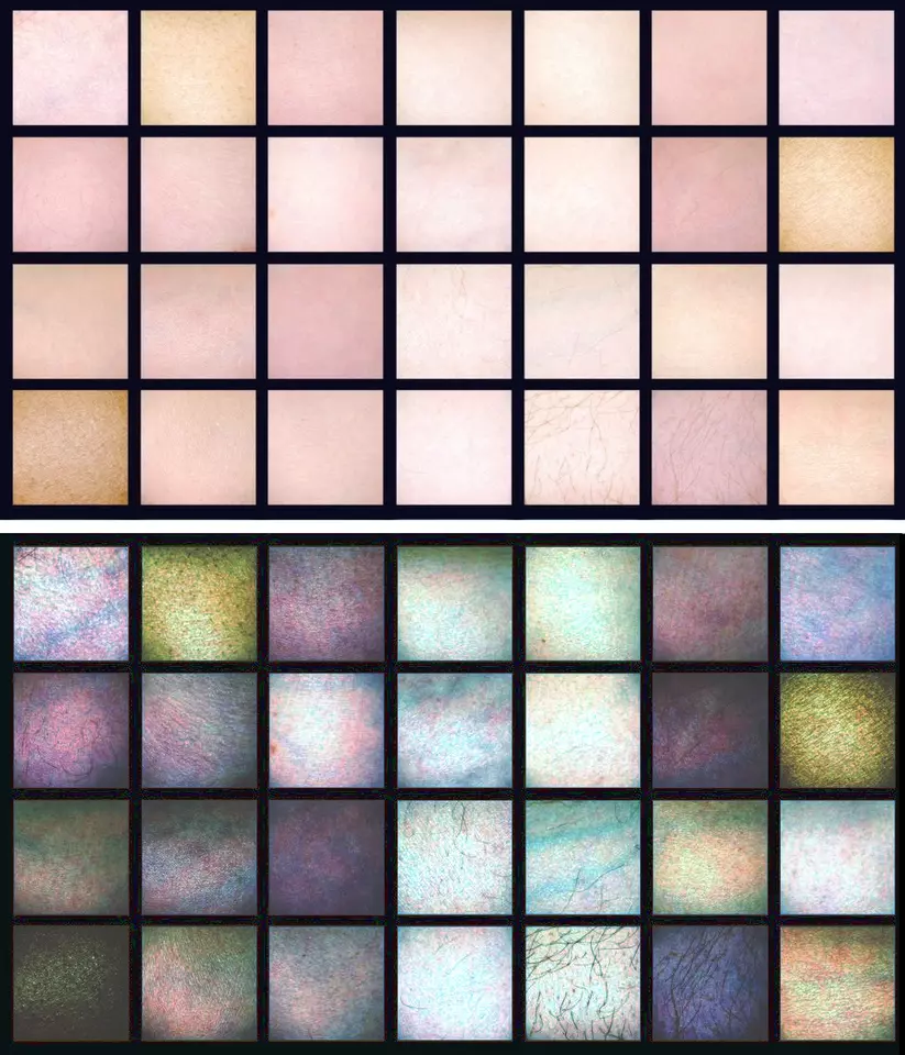 skin reflectance data