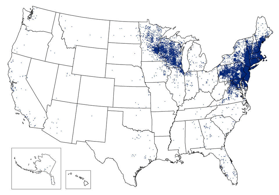 Lyme Disease