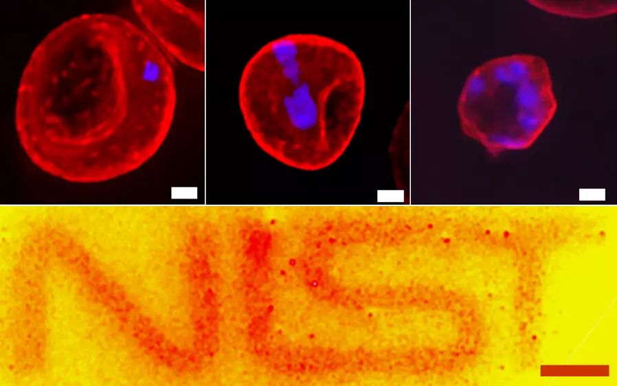 Top half: three red circles on black background; bottom half: NIST logo in orange with yellow background