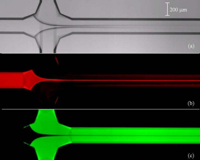 three rows. First gray with black pattern. Second black with red stripe. Third black with green stripe