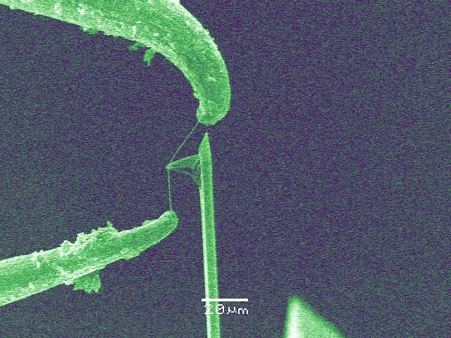 SEM image of nanoknife