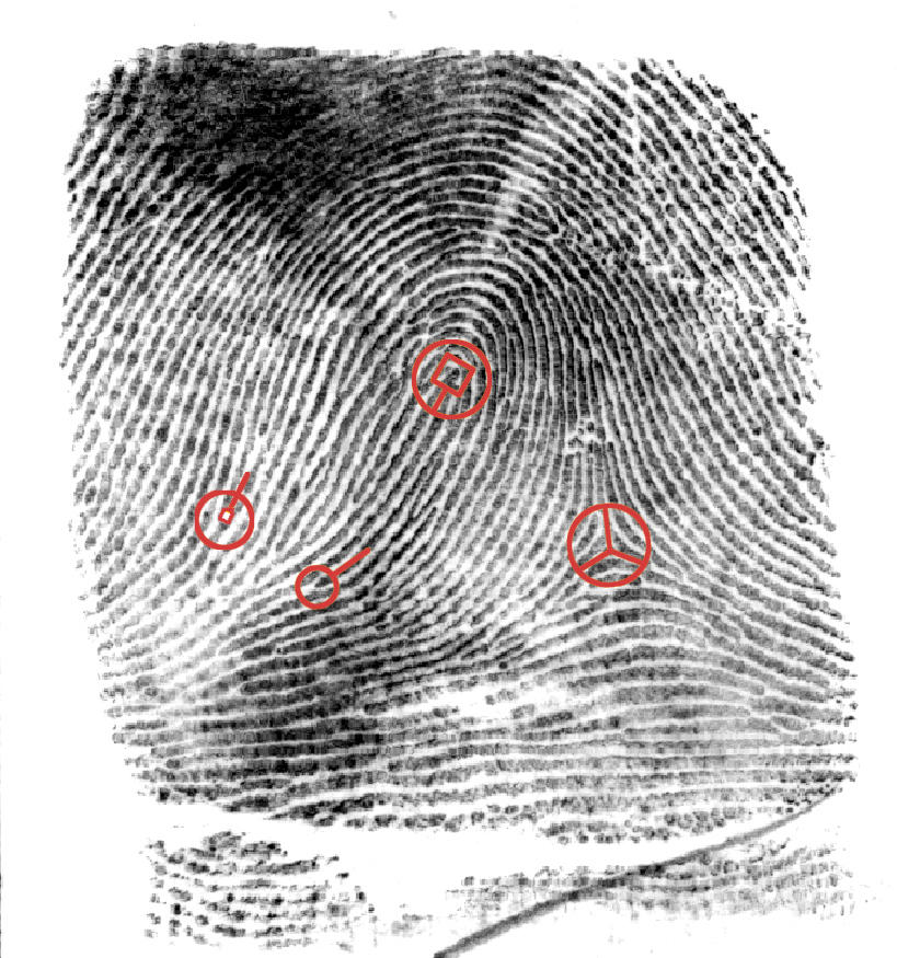 black and white fingerprint with four red circles on specific points of the whirls.