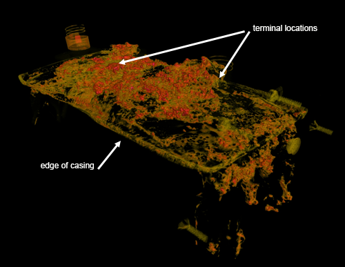 neutron image of battery cell