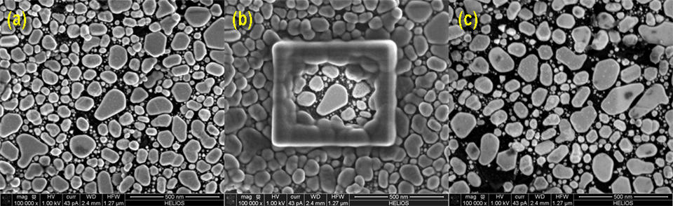 Evaporated gold-on-carbon samples.