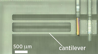 Self-calibrating AFM probe