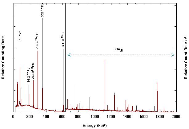 Radium-226 gamma ray spectrum from high purity germanium (HPGe) detector