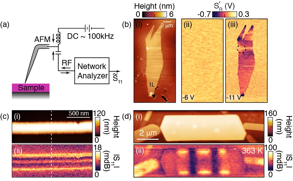 Microwave Near-Field Imaging of Electronically Heterogeneous Materials