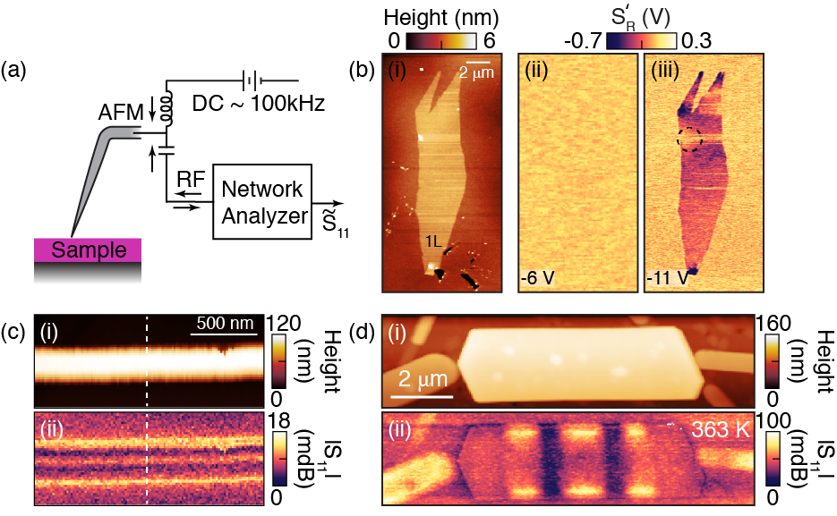Microwave Near-Field Imaging of Electronically Heterogeneous Materials