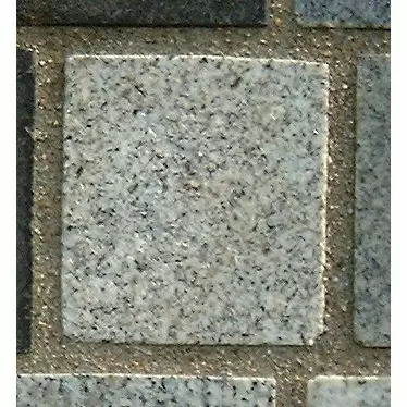 Stone 10LA43 from the Stone Wall at NIST