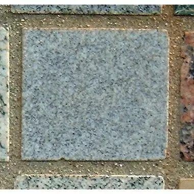 Stone 10LA46 from the Stone Wall at NIST