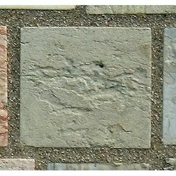 Stone 10LA5 from the Stone Wall at NIST