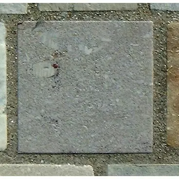 Stone 10LB11 from the Stone Wall at NIST