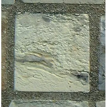 Stone 10LB13 from the Stone Wall at NIST