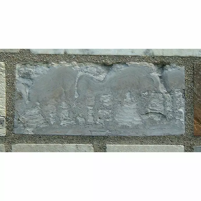 Stone 10LB14 from the Stone Wall at NIST