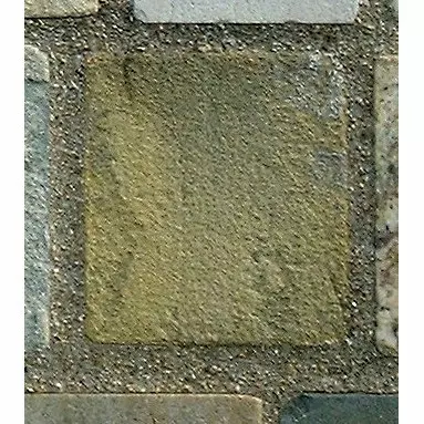 Stone 10LB20 from the Stone Wall at NIST