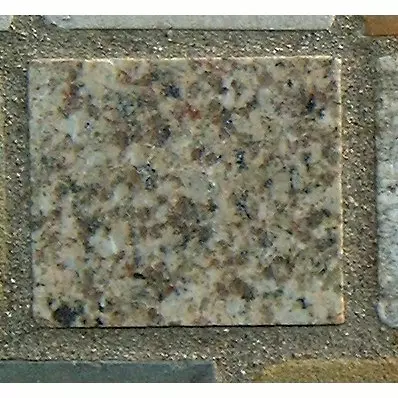 Stone 10LB21 from the Stone Wall at NIST