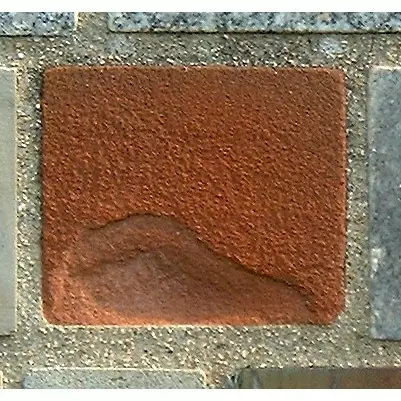 Stone 10LB33 from the Stone Wall at NIST