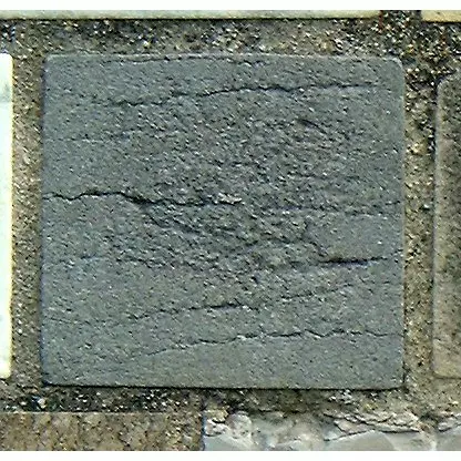 Stone 10RA16 from the Stone Wall at NIST