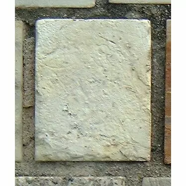 Stone 10RA22 from the Stone Wall at NIST