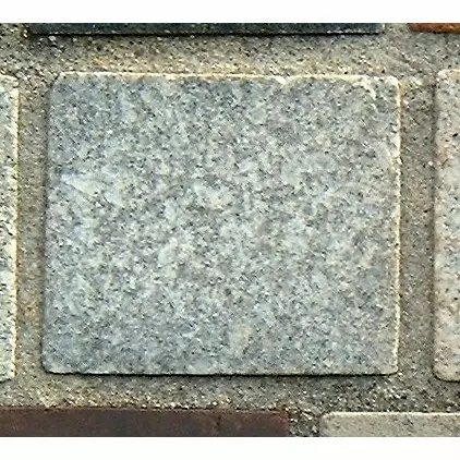 Stone 10RA36 from the Stone Wall at NIST