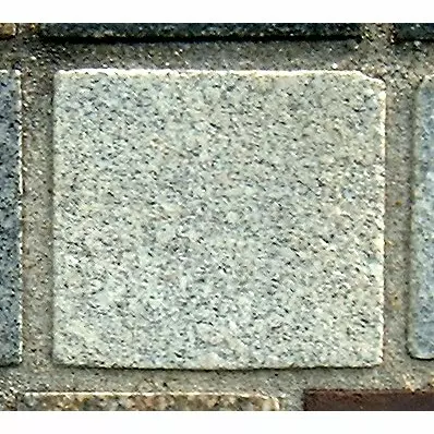 Stone 10RA37 from the Stone Wall at NIST