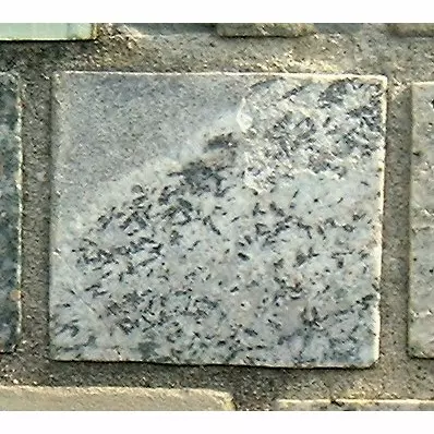 Stone 10RA47 from the Stone Wall at NIST