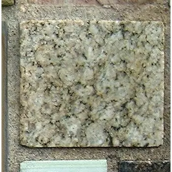 Stone 10RA49 from the Stone Wall at NIST