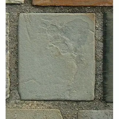 Stone 10RB22 from the Stone Wall at NIST