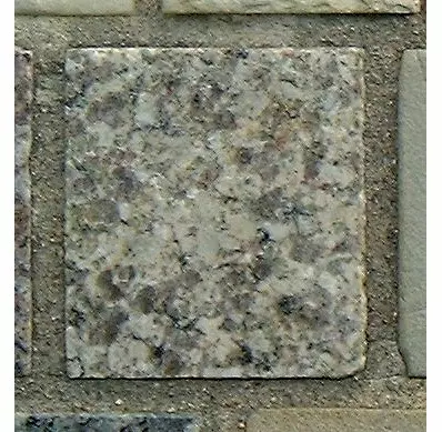 Stone 10RB23 from the Stone Wall at NIST