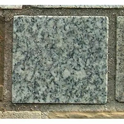 Stone 10RB41 from the Stone Wall at NIST