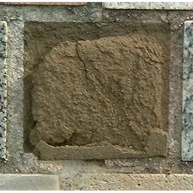 Stone 10RB42 from the Stone Wall at NIST