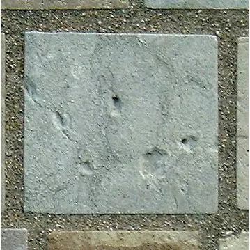 Stone 10la12 from the Stone Wall at NIST