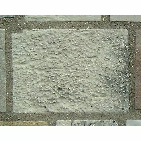 Stone 11LB22 from the Stone Wall at NIST
