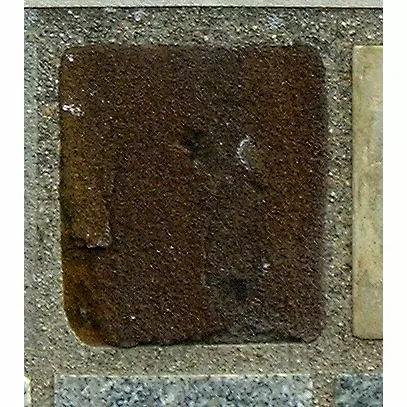 Stone 11LB26 from the Stone Wall at NIST