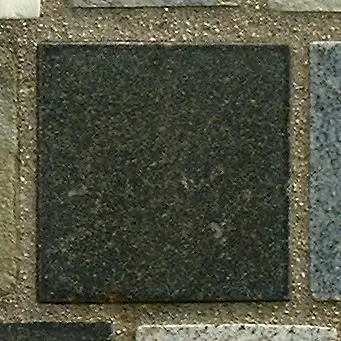 Stone 11Lb36 from the Stone Wall at NIST
