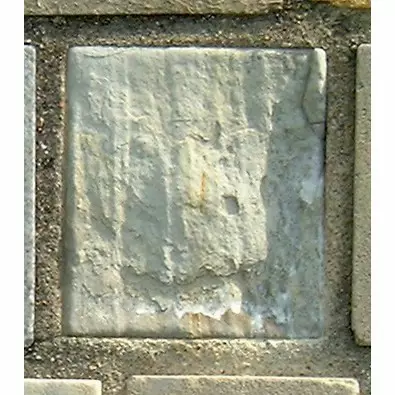 Stone 11RA23 from the Stone Wall at NIST