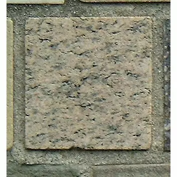 Stone 11RA36 from the Stone Wall at NIST