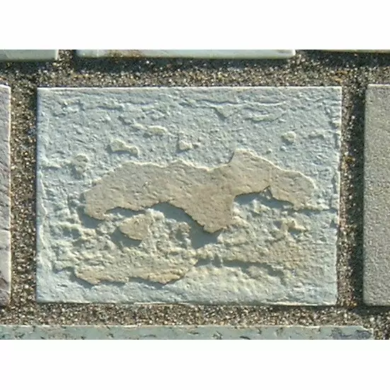 Stone 12LA31 from the Stone Wall at NIST