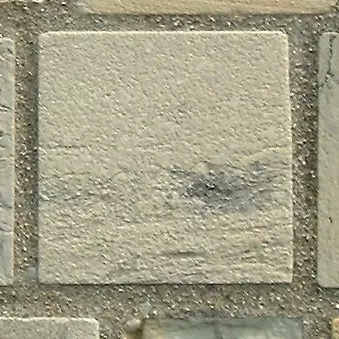 Stone 12LB15 from the Stone Wall at NIST
