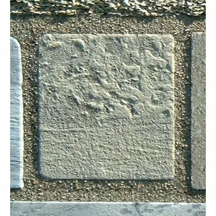 Stone 12LB29 from the Stone Wall at NIST