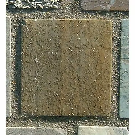 Stone 12LB31 from the Stone Wall at NIST