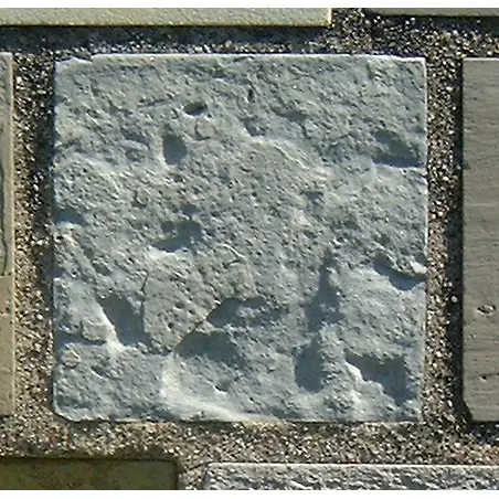 Stone 12RA14 from the Stone Wall at NIST