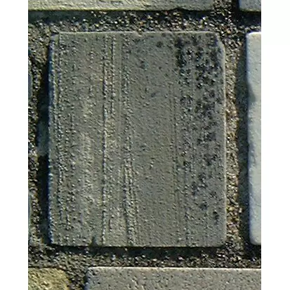 Stone 12RA21 from the Stone Wall at NIST